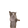 :1x: