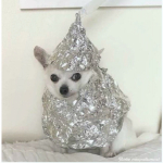 Мария