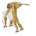 Chirik