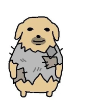 BbAngel