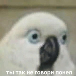 Элиша
