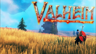 Как перенести мир на другой сервер в Valheim ?